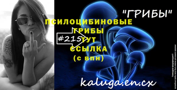 дурь Балахна