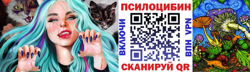 купить наркотики цена  сайты даркнета состав  Галлюциногенные грибы мицелий  Лермонтов 